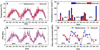 Climate-Related Limitations on Photosynthesis and Drought-Resistance Strategies of Ziziphus spina-christi